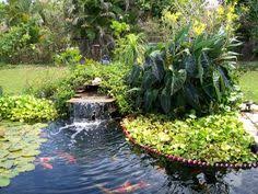 We also carry a wide selection of koi fish and pond supplies such as hikari koi food,ultima ii filters, wave i have purchased koi and supplies from inland koi many times. Pond Biz Pond Supplies Pondbiz Profile Pinterest