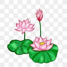 Pin On Flower Art