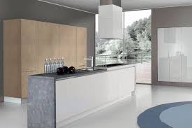 modern kitchen cabinets european