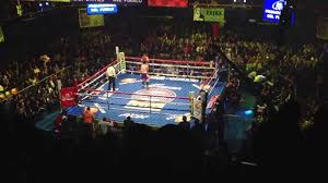 Envía tu currículum vítae a: Box En Arena Solidaridad En Monterrey Youtube