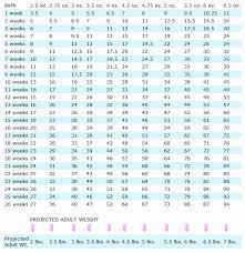 21 competent breed weight chart