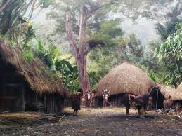 Ruangan di dalam rumah ini terdiri dari 3 lantai. Mengenal Rumah Adat Honai Khas Papua Yang Unik