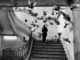 20th Century Famous Black And White Photographers Henri Cartier Bresson Street Photo Of A Woman Walking Upstairs A Flock Of Pigeons Flying Up Around Her Henri Cartier Bresson Most Famous Photographers Bresson