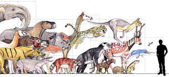 Fossil Mammal Parade Mammals Prehistoric Wildlife Prehistoric Animals