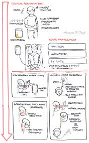 Nephrolithiasis Urolithasis Kidney Stones Armando Hasudungan