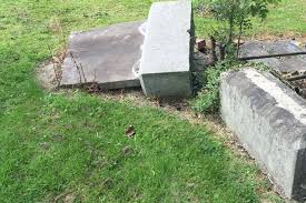 Jewish graves Belfast City Cemetery attack anti-Semitic: Councillor Steven  Corr