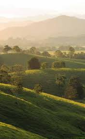 Murwillumbah Travel Guide In 2020 Travel Globe Travel Photography Travel