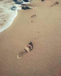 Eat: scene i noticed footprints in the send. Footprint Sand Pictures Download Free Images On Unsplash