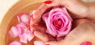 7 معلومات عن ماء الورد من الحضارات القديمة حتى الآن سبعات