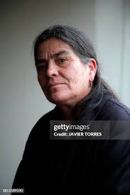 625 Amanda Santiago Stock Photos, High-Res Pictures, and Images