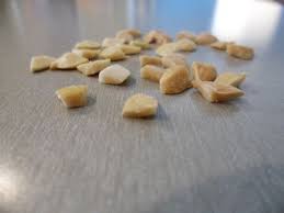 Semilla De Brazil Que Es Lo Que Contiene La Semilla Del Brazil Y Par Te Para Bajar De Peso Raiz De Tejocote Comer Antes De Entrenar