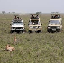 Entdecken sie 12 individuell anpassbare reiseideen und planen sie ihre reise mit einem lokalen experten! Safari In Tansania Die Serengeti Bernhard Grzimeks Bedrohtes Erbe Welt