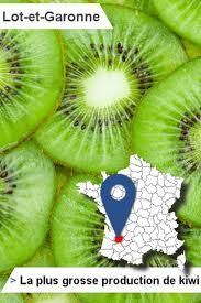 Trouvez un déménageur dans lot et garonne(47). 47 Lot Et Garonne Le Plus De Kiwis Produits