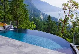 Curved Infinity Pool With View Is Also An Option Pool Landscape Design Swimming Pool Designs Infinity Edge Pool