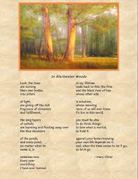 In Blackwater Woods Mary Oliver Mary Oliver Poems Mary Oliver Mary Oliver Quotes