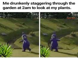 We did not find results for: 60 Plant Memes For You To Dig Through Funny Gallery