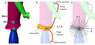 Torso, head (2 parts), 1/2 of the brain, 2 lungs, heart (2 parts), stomach, liver, intestines. A Human Body Model Separating Waist And Hip Joints B Human Body Download Scientific Diagram