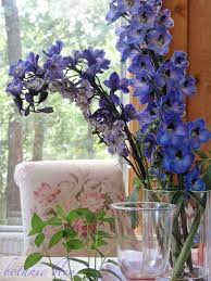 I've never seen any kind of flowers for sale as a foodstuff, as far as i can recall. Botanic Bleu Blue Delphiniums