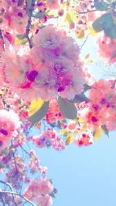 20 Fondos De Pantalla Para Celular Que Le Encantaran A Las Chicas Tiernas Fondos De Pantalla Hermosos Fondo De Pantalla Whatsapp Fondos De Pantalla Bonitos
