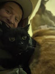 deceased black cat found