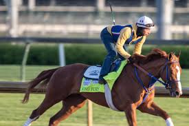 Kentucky derby entrant hot rod charlie works out churchill downs wednesday, april 28, 2021, in louisville, ky. 4l5thvkfefdzrm