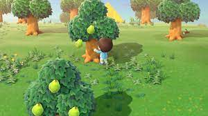 With the gaming industry set to hit us$200.8 billion in revenues by 2023, there are plenty of ways to invest in gaming. Animal Crossing New Horizons How To Grow Money Trees Usgamer