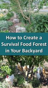 How To Create A Survival Food Forest In Your Own Backyard Food Forest Garden Backyard Food Permaculture Gardening