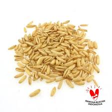 ☎ 0812 3241 2221 (najwa) bagi anda yang saat ini sedang membutuhkan bibit / benih buah vanili yang memiliki jenis , maka anda dapat dengan mudah menemukannya di tempat kami. Jual Oem Benih Rumput Kucing Cat Grass Bibit Rumput 50 Biji Terbaru Juni 2021 Blibli