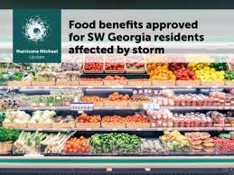Sw Georgia Approved For Disaster Snap Department Of Human