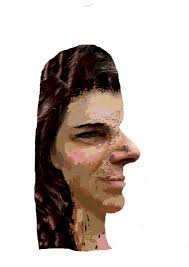 PDF) Gaze 1; Gaze 2; Gaze 3