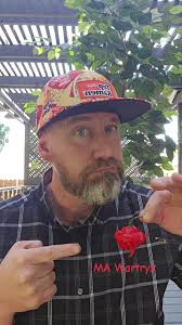 Stephen Edward Sayer