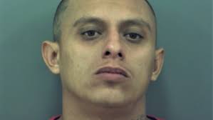 7 arrested in marijuana, meth cases