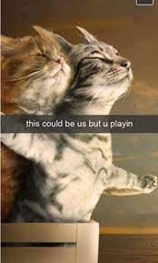 27 Devilish Cats That Are Too Cute For Snapchat Memebase Funny Memes Crazy Cat Lady Humor Cat Memes Cats