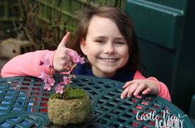 Japanese gardens have a unique and desirable style that is popular all over the world. Beautiful Miniature Japanese Gardens Are Easy To Create At Home Castle View Academy