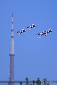 The canadian international air show (cias) is an annual air show in toronto, ontario, canada. Toronto Air Show Jerry Fei Photography