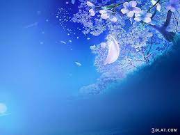 صور خلفيات بوربوينت روعه خلفيات ورود ورسومات جميلة dream photography image pictures