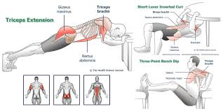 This No Equipment Bodyweight 1arms Workout Will Give You Muscle Size Strength And Definition Check The Workou Arm Workout Body Weight Arm Workout Arm Muscle
