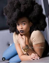Love This Fro Natural Hair Style How To Style Natural Afro Hair How To Take Care Of Your Natural Hai Natural Hair Styles Black Natural Hairstyles Hair Styles