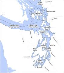 3 Tidal Wetlands Encyclopedia Of Puget Sound