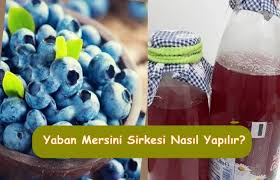 Yaban mersininin zararı var mı? Yaban Mersini Blueberry Sirkesi Nasil Yapilir Faydalari Nelerdir
