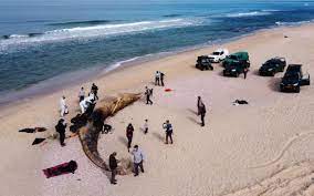 The lack of response could be a sign it is preparing a substantial strike against iran, sources tell insider. Israel Issues Gag Order Over Oil Spill Behind Most Severe Ecological Disaster In Country S History