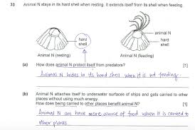 Online multiple choice science questions and answer. Answers To Psle Questions