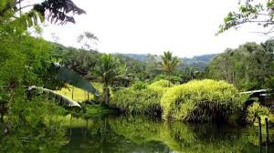 Free Things To Do In Cairns For Travellers Wanting To Save Money