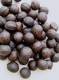 20 Reasons You Need The African Walnut Tetracarpidium Conophorum Global Recipes Food Facts Food