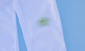 Check spelling or type a new query. How To Remove Grass Stains On Clothing