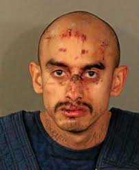 Arrest ends Calif shootout that wounded 6 officers