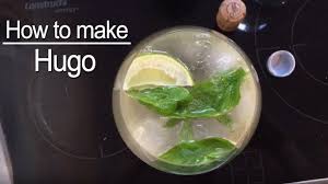 Elderflower cordial, soda water, prosecco, mint leaf, lime cordial. How To Make Hugo Cocktail Youtube