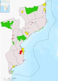 Image result for Pavetta gurueensis