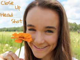 Explore the Beauty of Sunshine and Flower Meadows