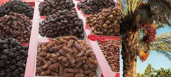 Maybe you would like to learn more about one of these? Leading Countries Growing Dates Fresh Date Palm Fruits Worldatlas